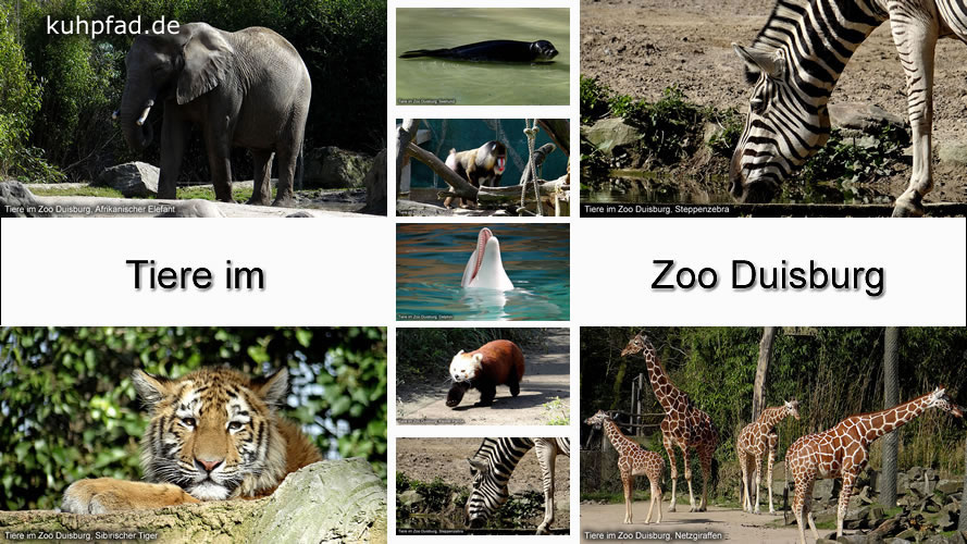 Zoo Duisburg Zoo Duisburg