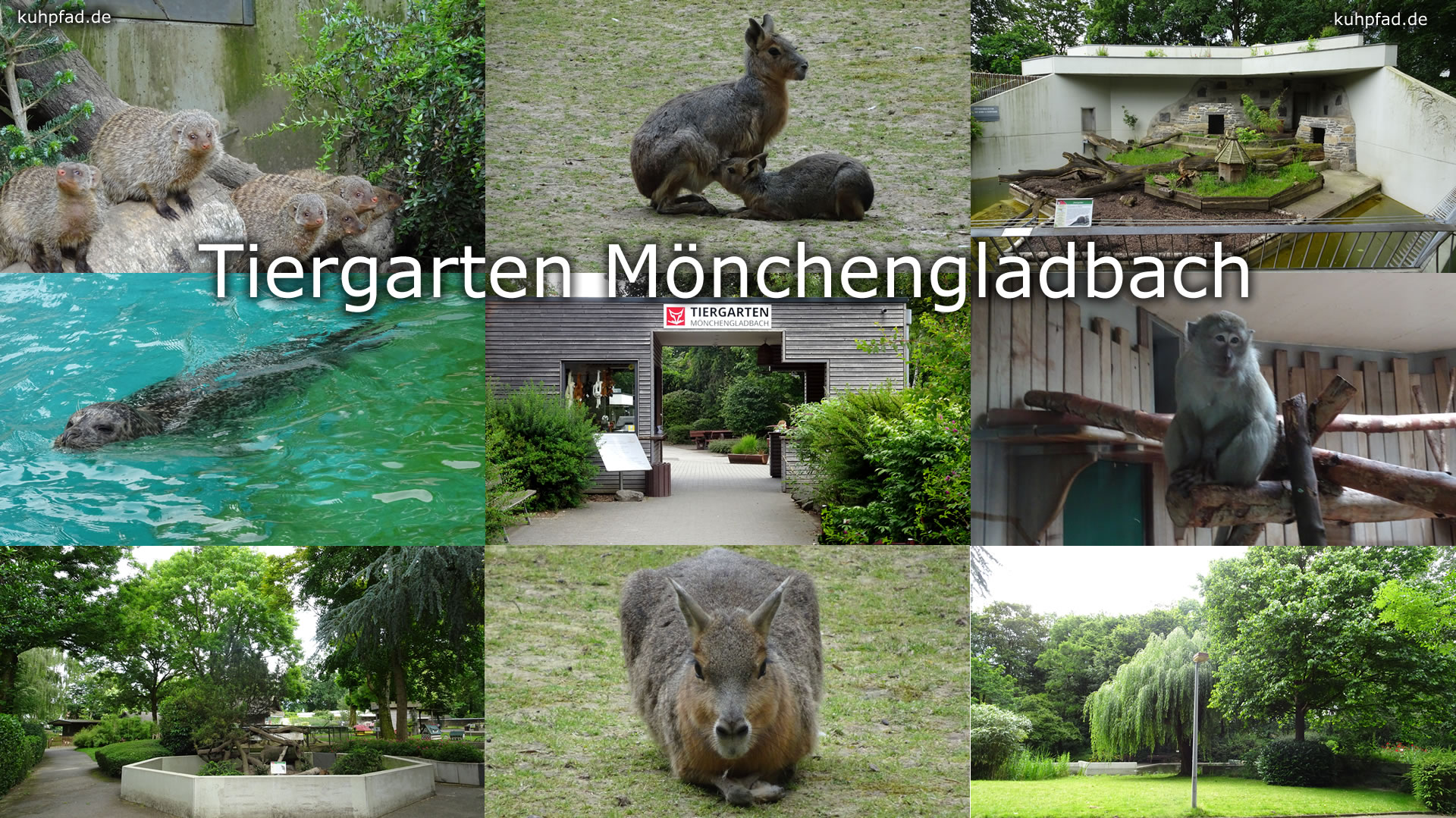 Tiergarten Mönchengladbach Tiergarten Mönchengladbach