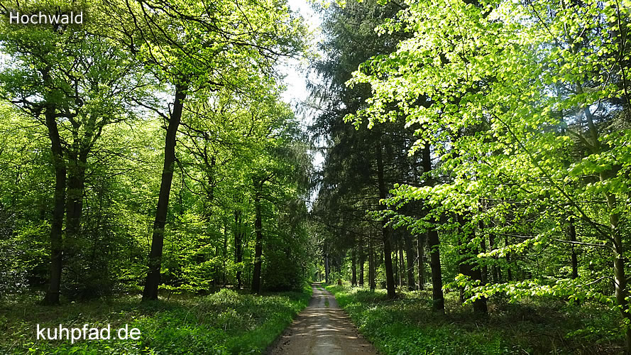 Uedemer Hochwald Uedemer Hochwald