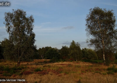 Venloer Heide