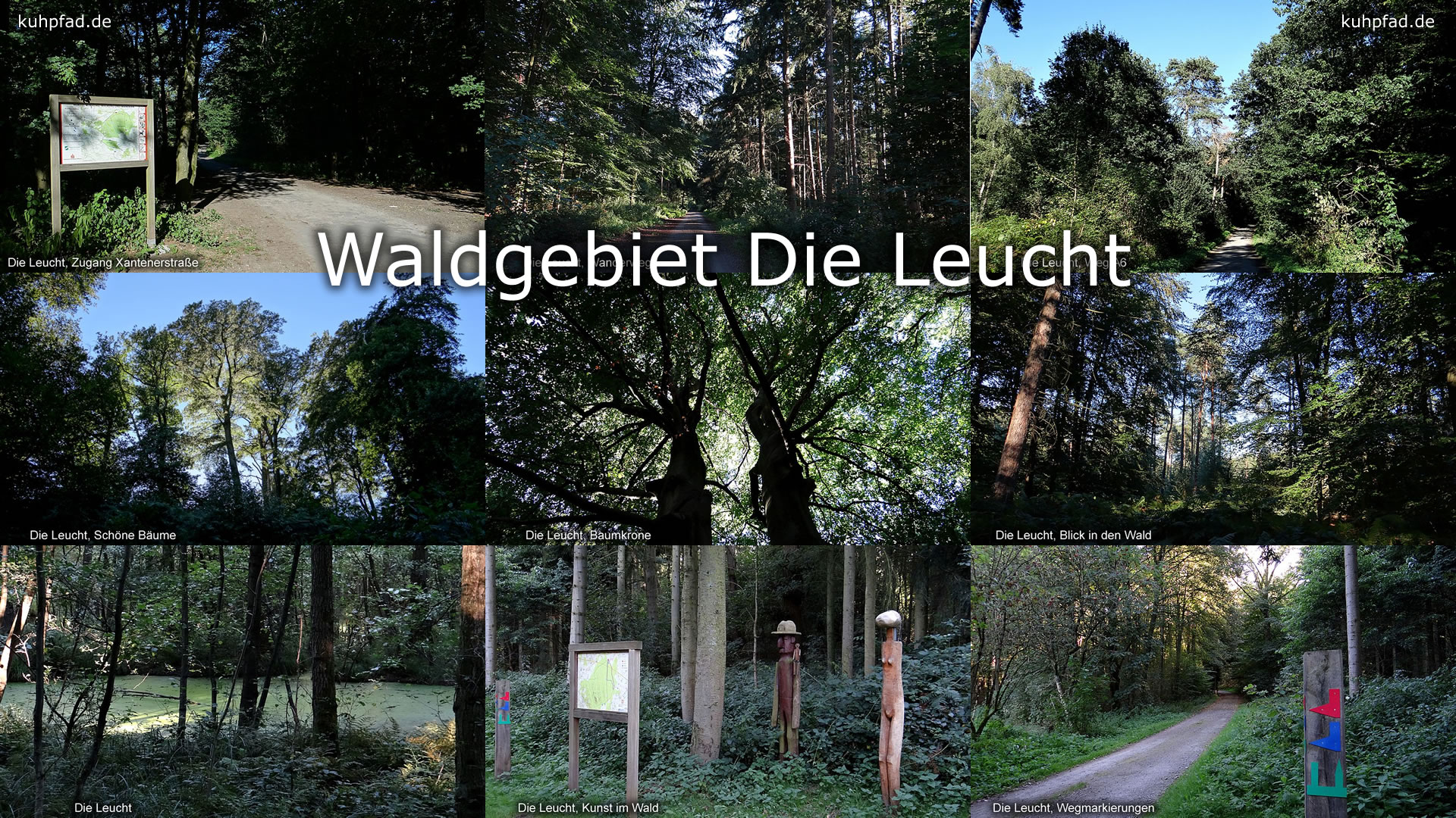 Die Leucht Waldgebiet Die Leucht Waldgebiet