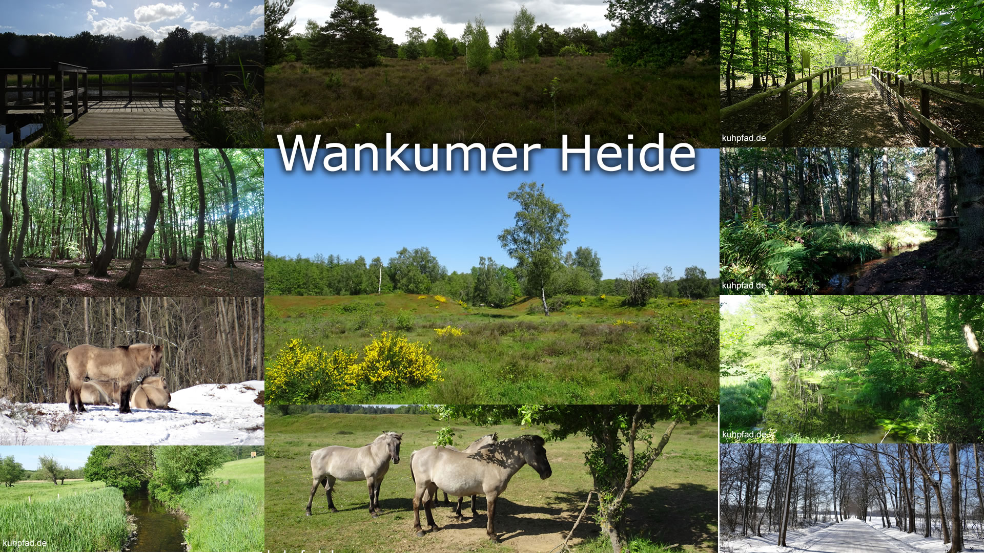 Wankumer Heide Wankumer Heide
