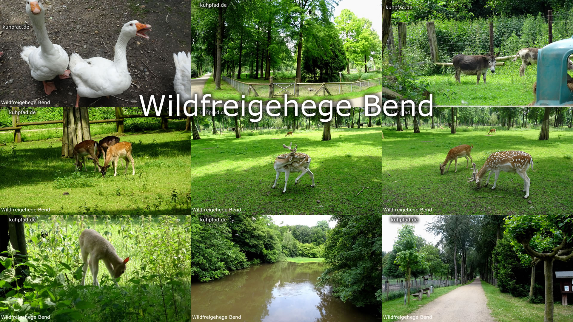 Wildfreigehege Bend Wildfreigehege Bend