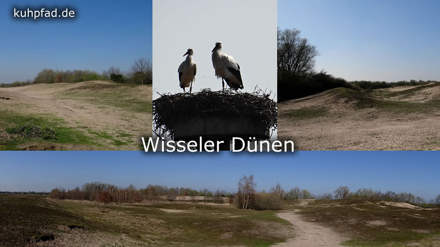 Wisseler Dünen Wisseler Dünen