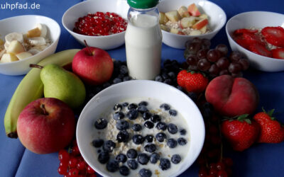 Haferflocken Haferbrei Porridge