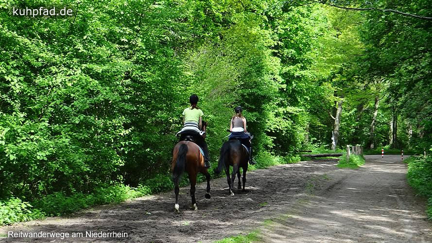 Reitwanderweg Reitwanderweg