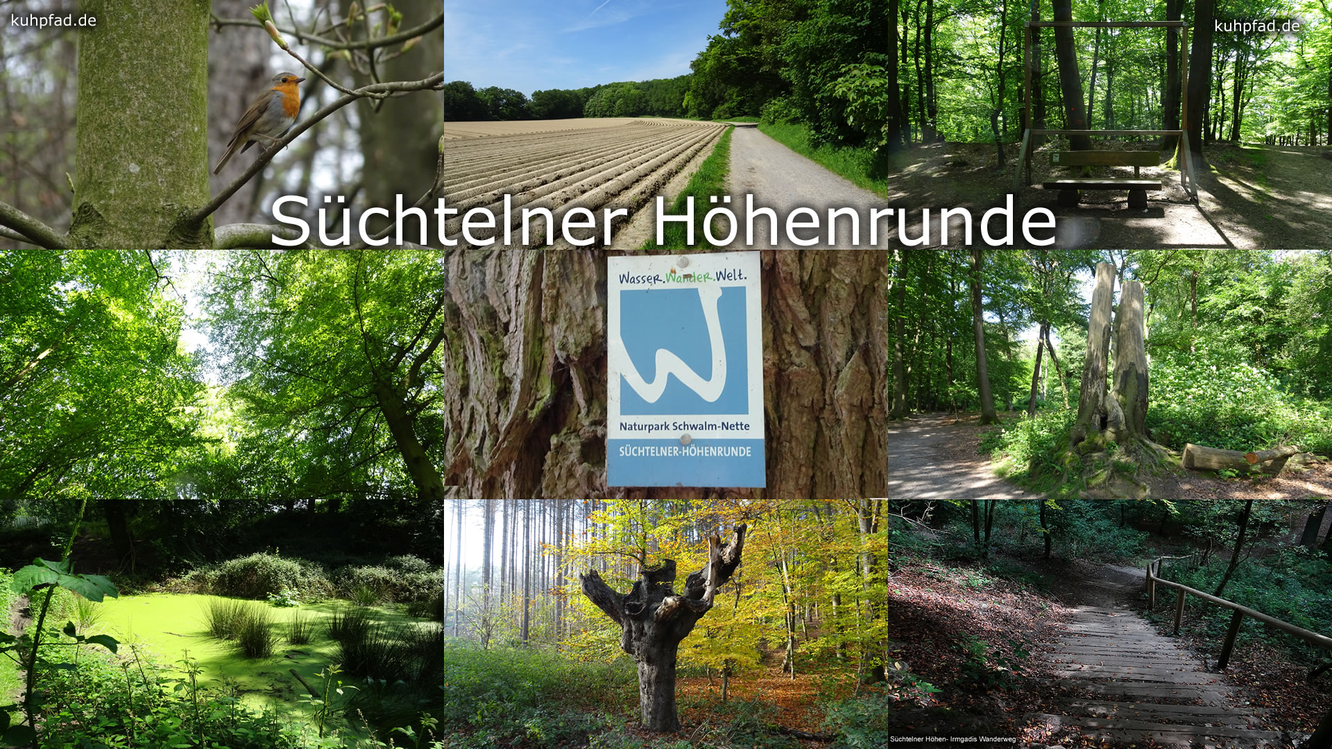 sSüchtelner Höhenrunde Süchtelner Höhenrunde