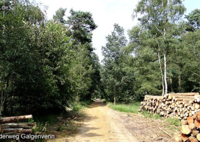 Wanderweg Galgenvenn