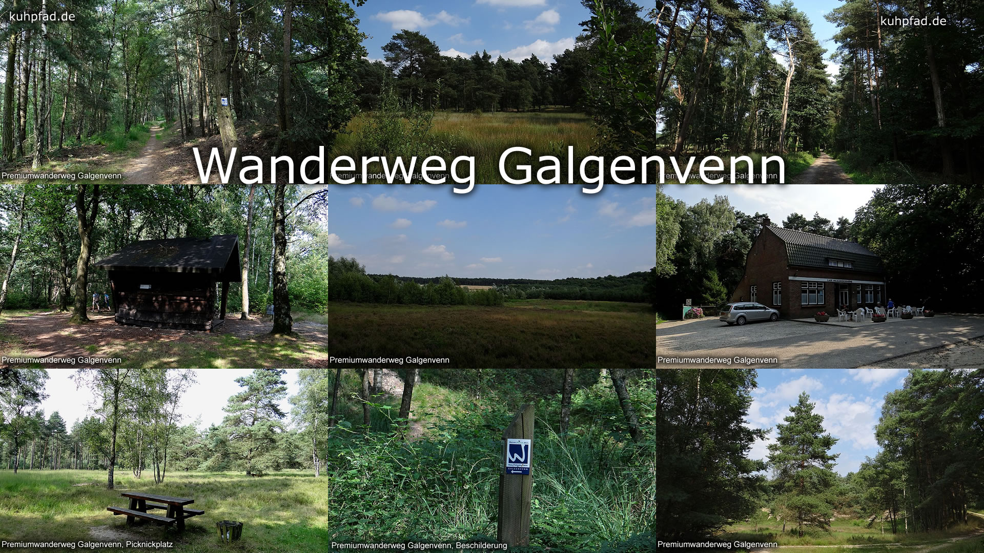 Wanderweg Galgenvenn Wanderweg Galgenvenn