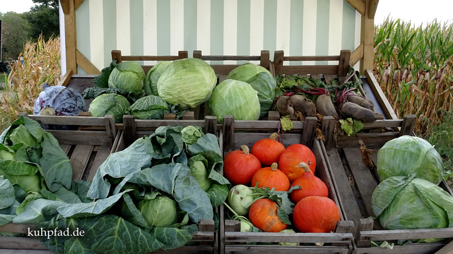 Bauernladen Vor Ort Einkaufen