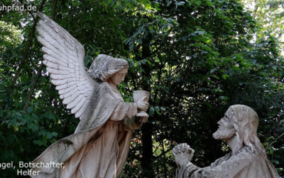 Engel Botschafter Helfer