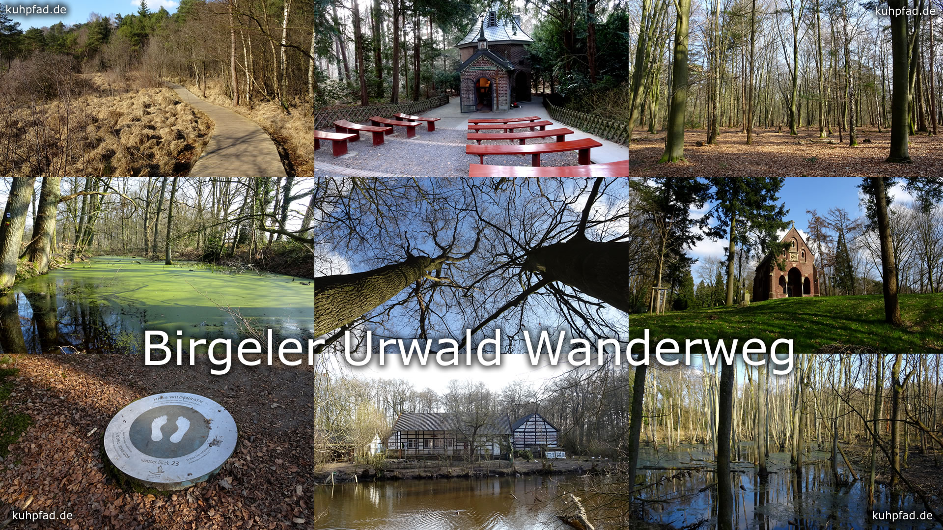 Birgeler Urwald Wanderweg Birgeler Urwald