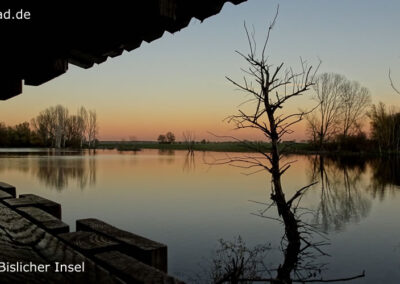 Bislicher Insel Beobachtungshütte