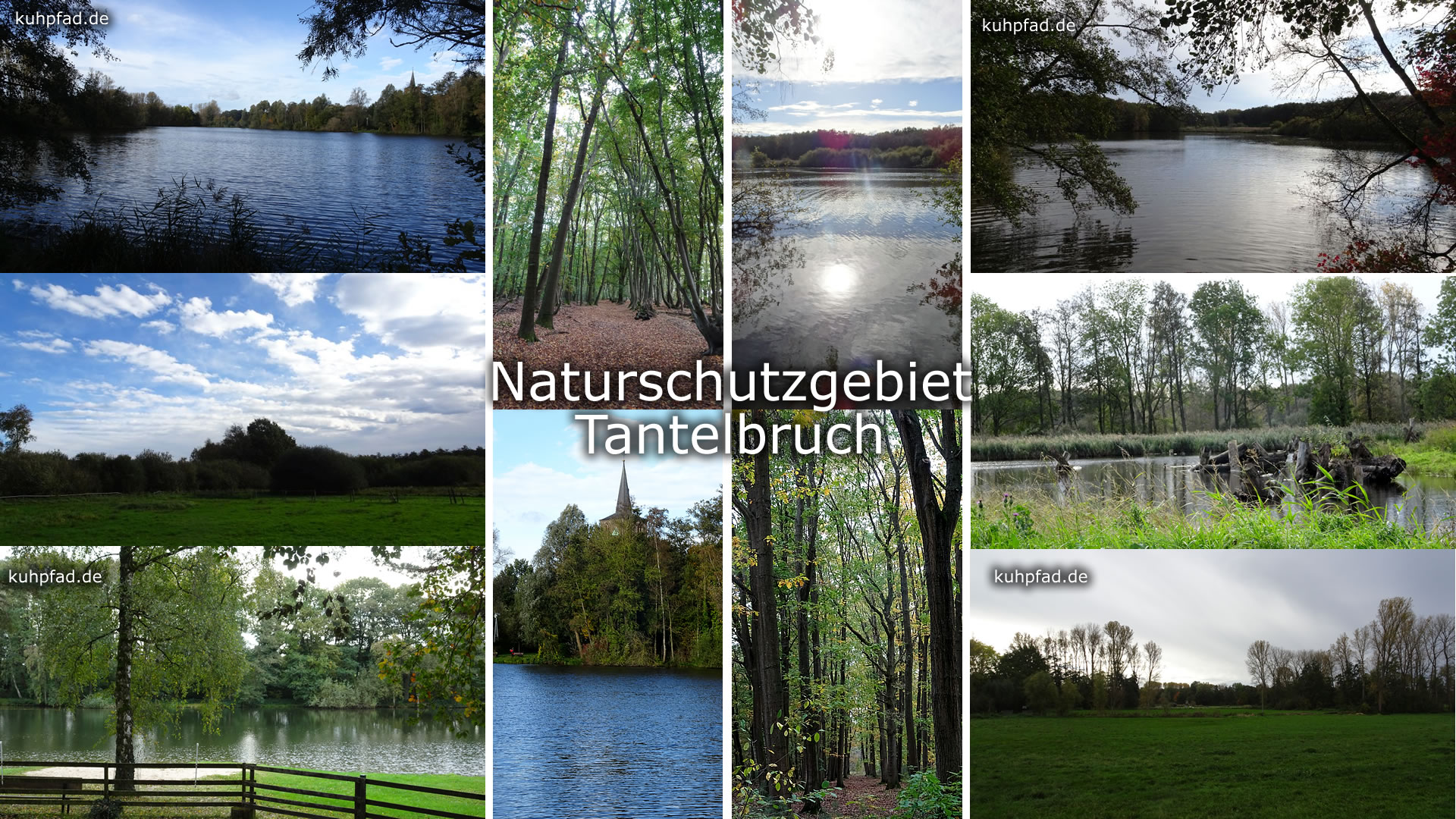Naturschutzgebiet Tantelbruch Naturschutzgebiet Tantelbruch
