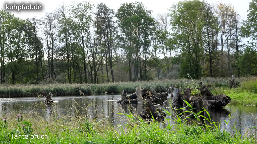 Naturschutzgebiet Tantelbruch