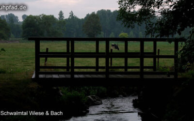 Flüsschen Schwalm