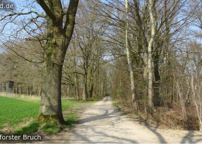Lüttelforster Bruch