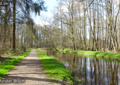 Lüttelforster Bruch