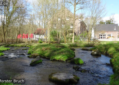 Lüttelforster Bruch