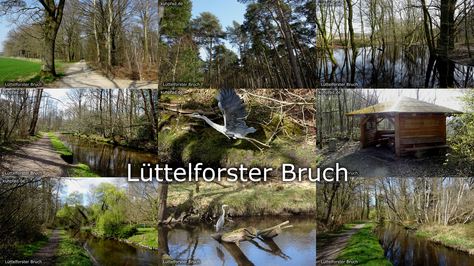 Lüttelforster Bruch Lüttelforster Bruch