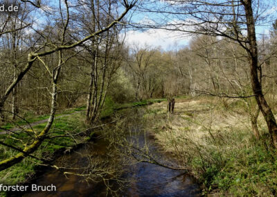 Lüttelforster Bruch