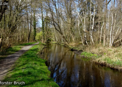 Lüttelforster Bruch