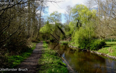 Lüttelforster Bruch