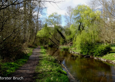 Lüttelforster Bruch