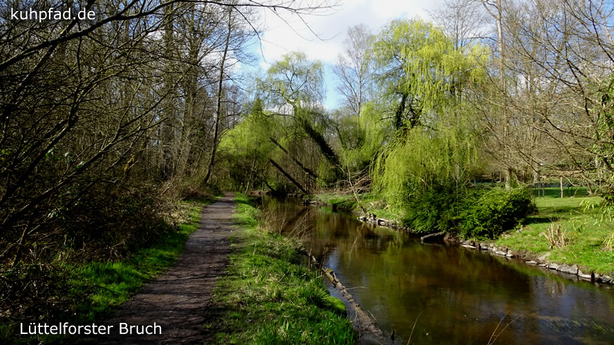 Flüsschen Schwalm Lüttelforster Bruch
