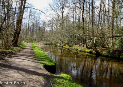 Lüttelforster Bruch