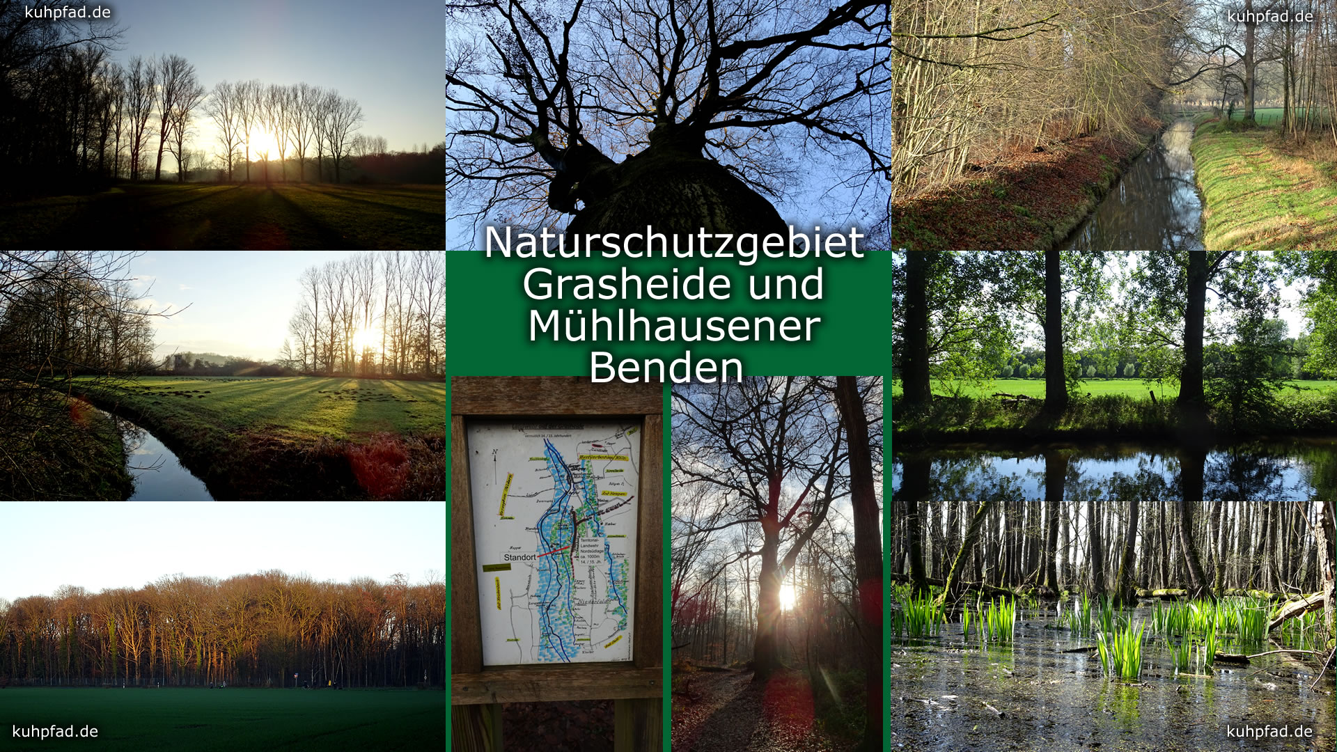 Naturschutzgebiet Grasheide und Mühlhausener Benden Naturschutzgebiet Grasheide und Mühlhausener Benden