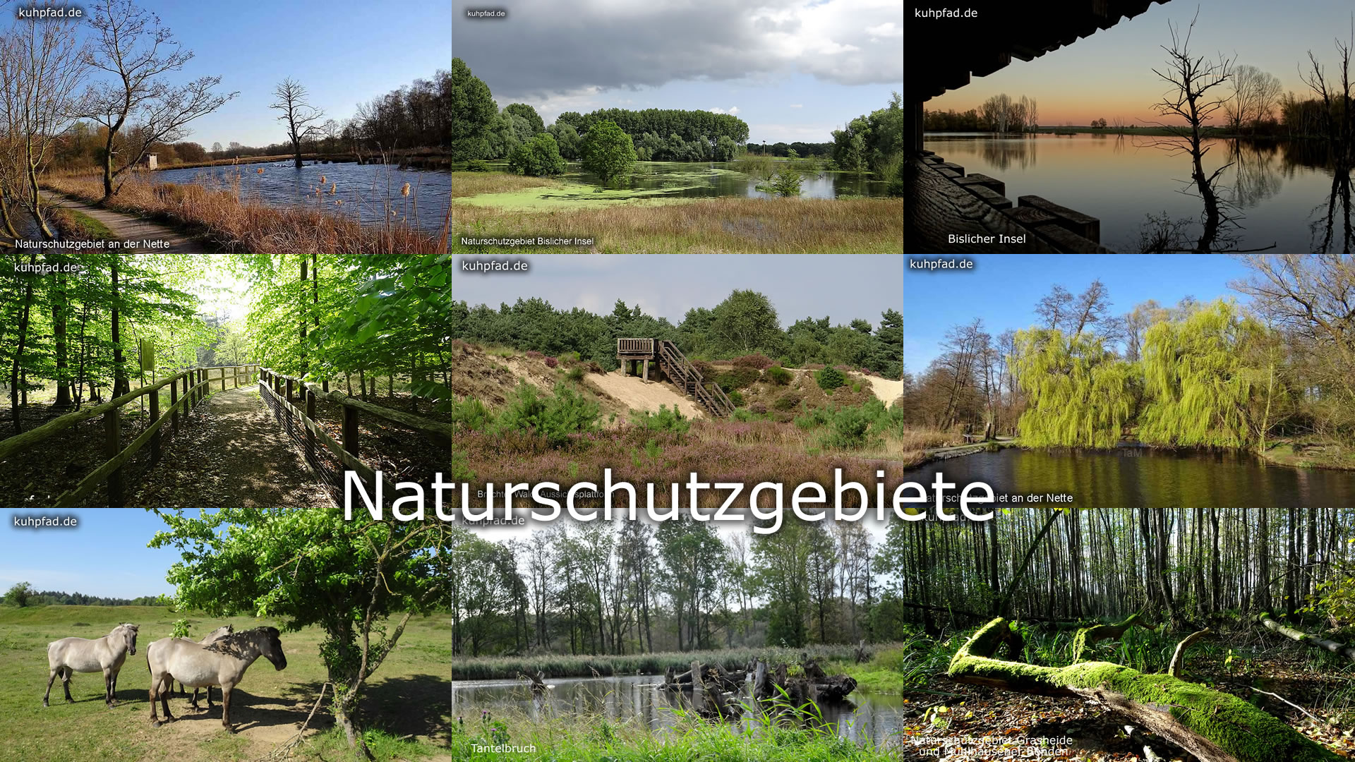 Naturschutzgebiete Naturschutzgebiete