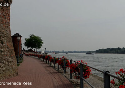 Rees am Rhein