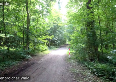 Tüschenbroicher Wald