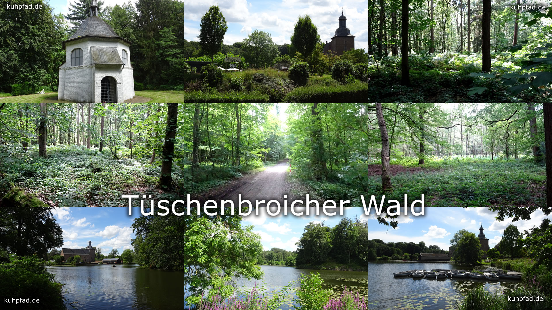 Tüschenbroicher Wald Tüschenbroicher Wald